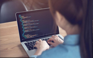 沙洋 api php源码,下载的php源码怎么运行呢？